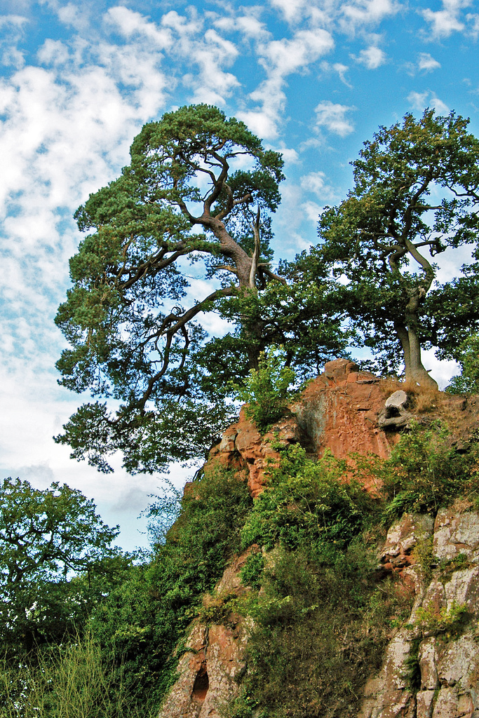 Hawkstone Park and Follies Helen Barr