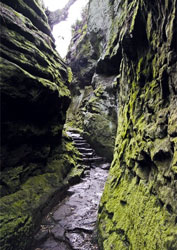 Hawkstone park cleft