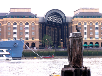 Hays Galleria
