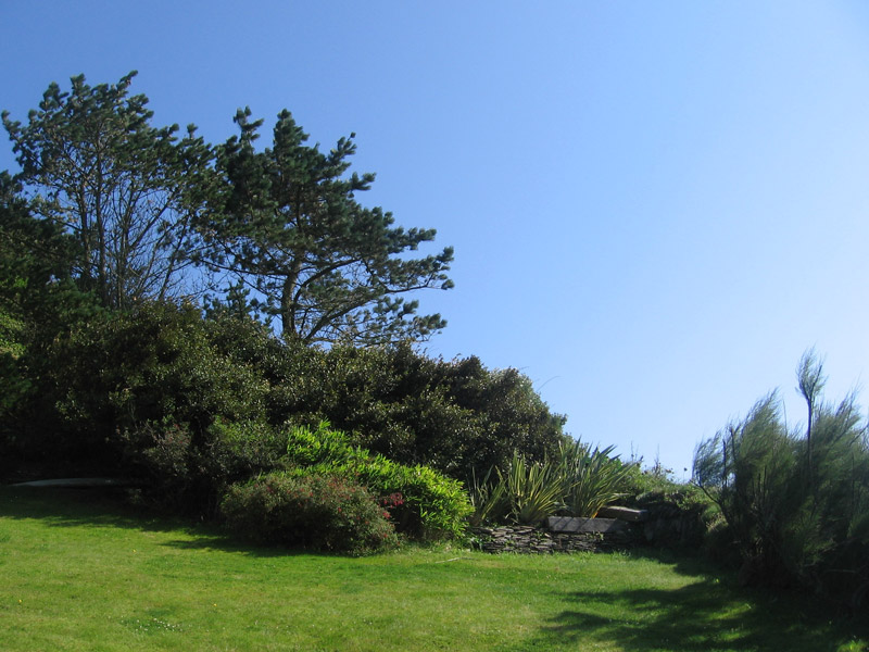 Headland Garden