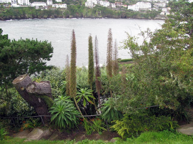 Headland Garden, England