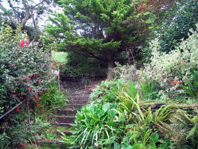 Steps, Headland Garden