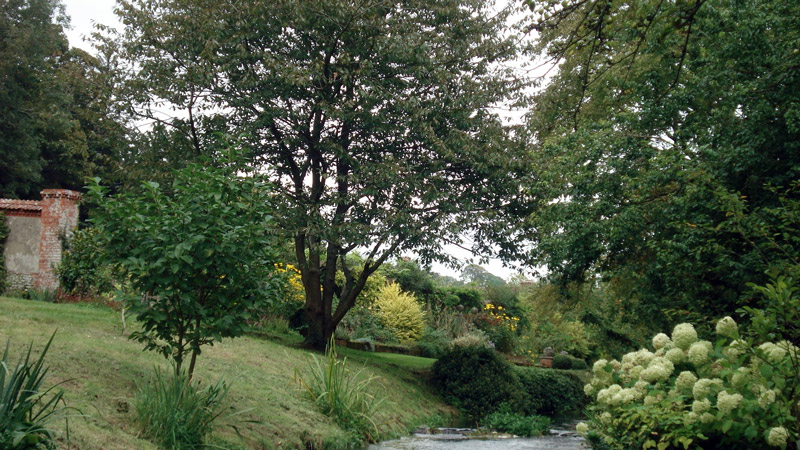 Heale House Garden, 2008