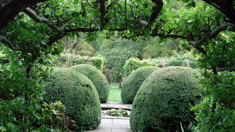 Heale House Garden