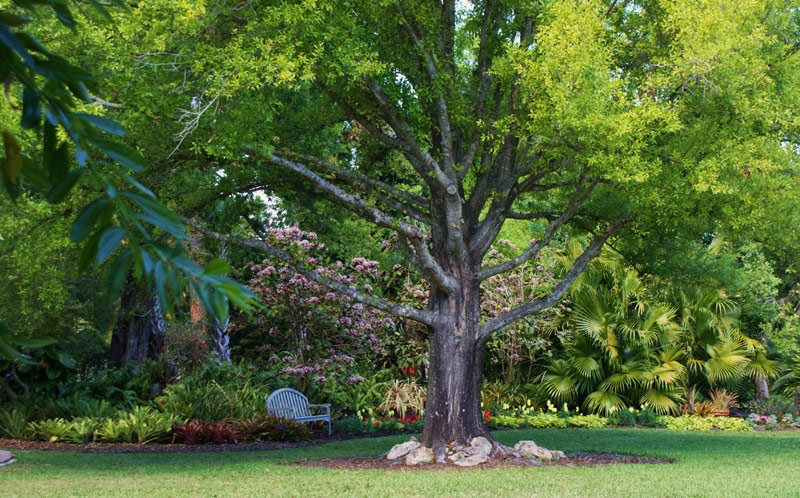 Heathcote Botanical Gardens, Fort Pierce