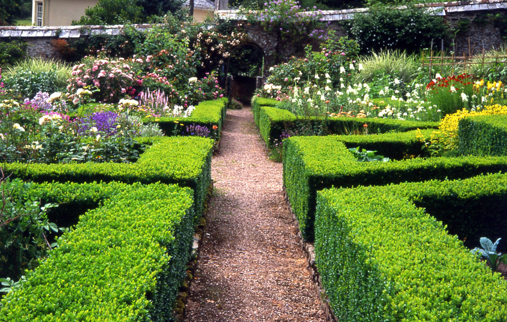 Heddon Hall Garden by Carol Drake