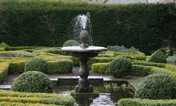Hedge Planting Design