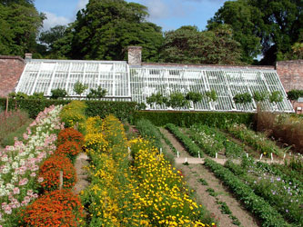 Heligan gardens vinery