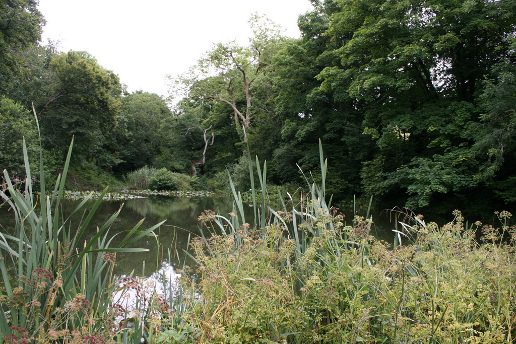 The Lost Gardens of Heligan, July 2008