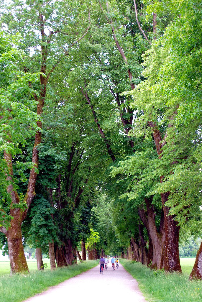 Hellbrunner Allee