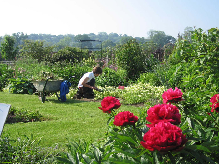 Helmsley Walled Garden