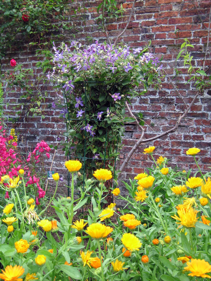 Helmsley Walled Garden, North Yorkshire