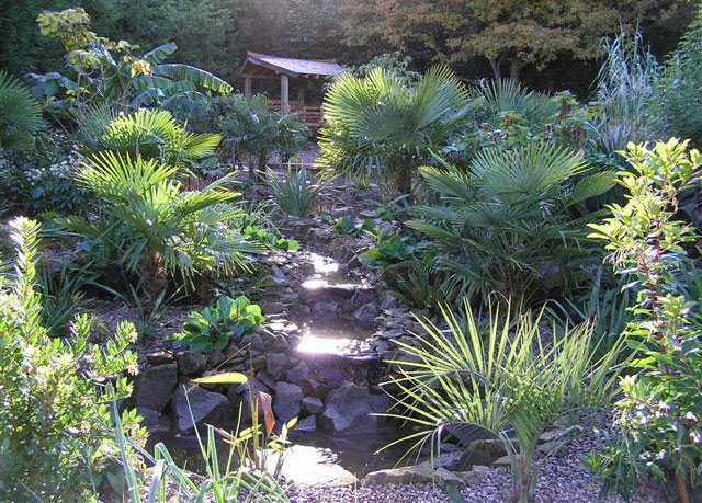 Henstead Exotic Garden