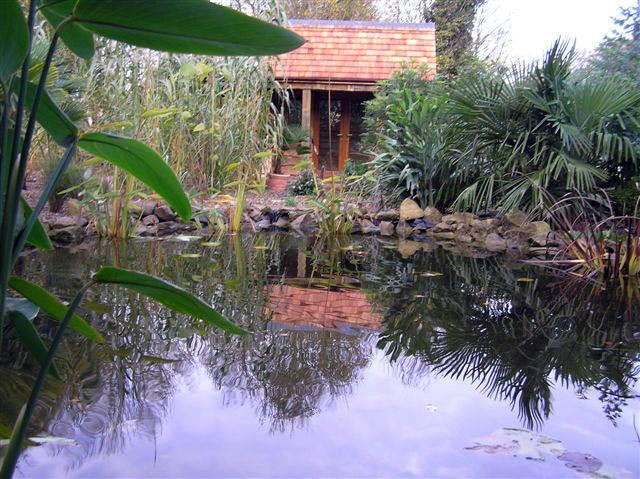 Henstead Exotic Garden, Suffolk