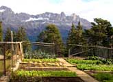 Herb garden in Austria