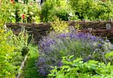 Medieval herb garden