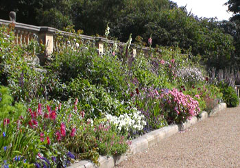 Garden Border Design