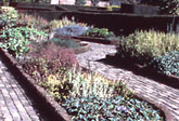 Herb garden in London