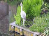 Ornamental heron