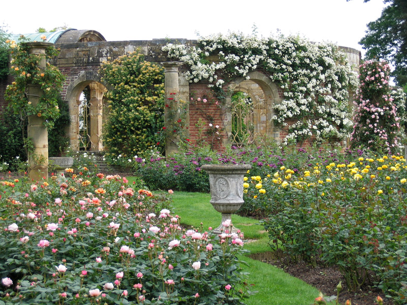 Rose Garden