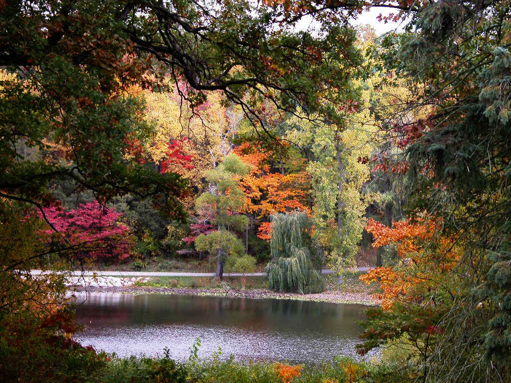 Hidden Lake Gardens Julie Falk