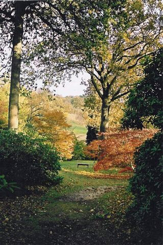 High Beeches Garden in Autumn