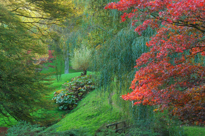 High Beeches Garden