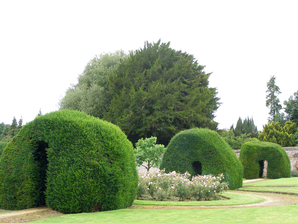 Hedges, Highclere Castle Garden