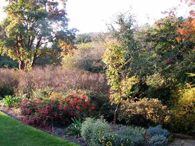 Highdown Gardens, October 2009