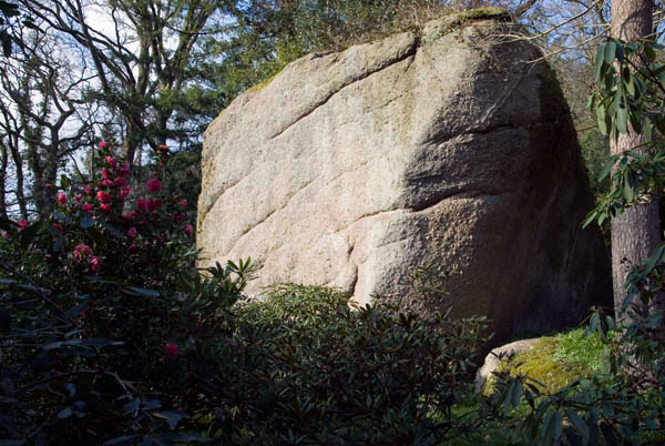Boulder, Higher Knowle Garden