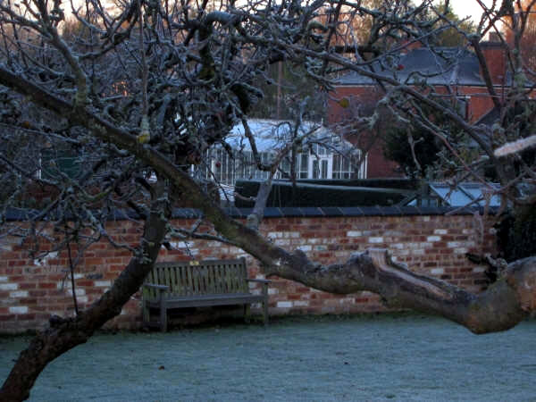 Greenhouse, Hill Close Gardens