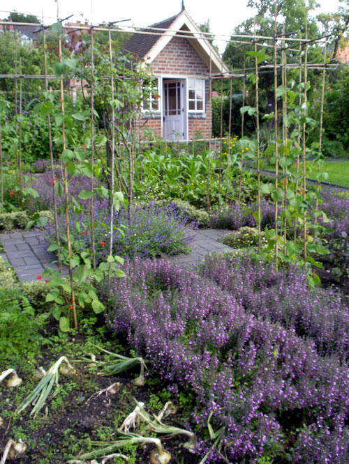 Summerhouse at Plot 22, Hill Close Gardens