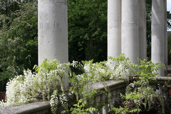 The Hill, by one England's pioneer landscape architects