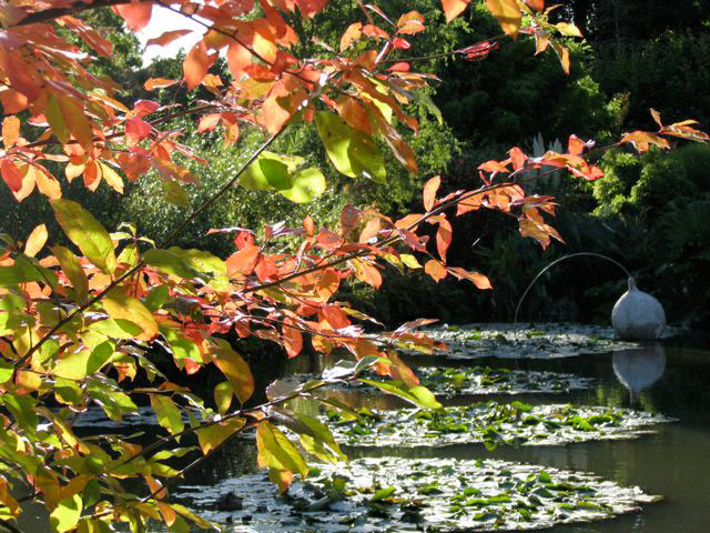 Sir Harold Hillier Gardens and Arboretum, Autumn