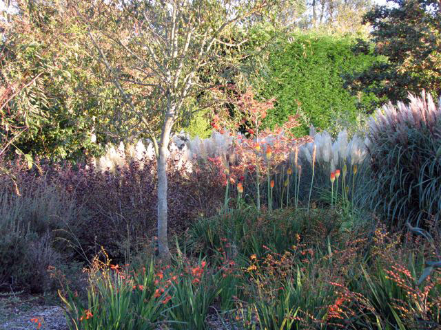Sir Harold Hillier Gardens and Arboretum, Hampshire