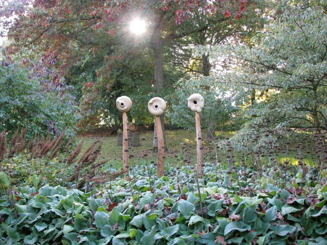 Sir Harold Hillier Gardens and Arboretum, October
