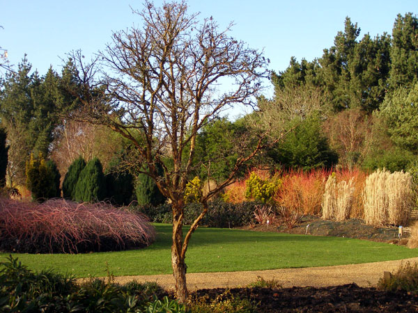 Winter Garden at Sir Harold Hillier Garden and Arboretum