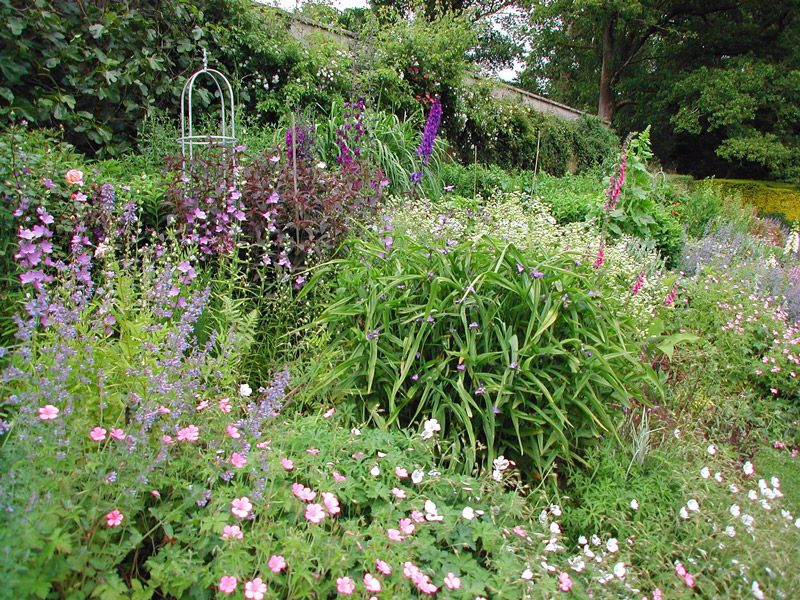 Hilton Park Garden, Clones