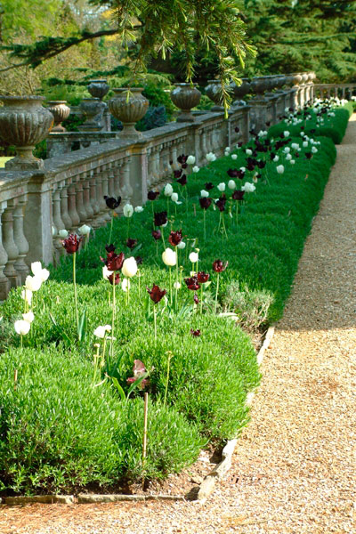 Hinton Admiral Gardens, Dorset