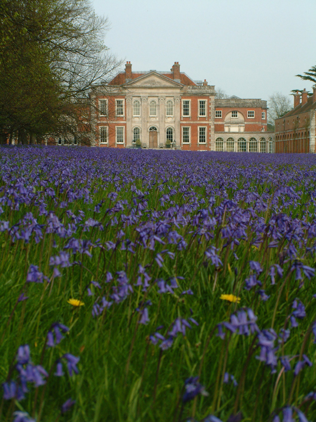Hinton Admiral Gardens