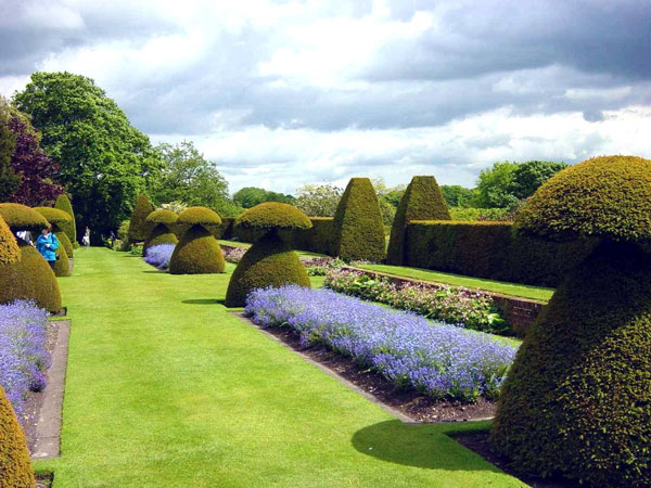 Hinton Ampner Garden, Hampshire