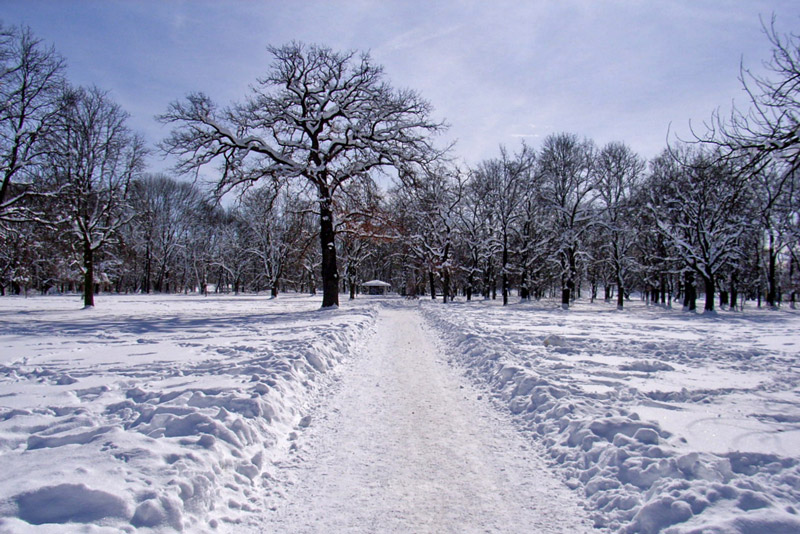 Snow, Hirschgarten