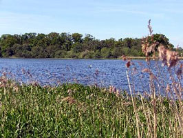Hirselcountrypark
