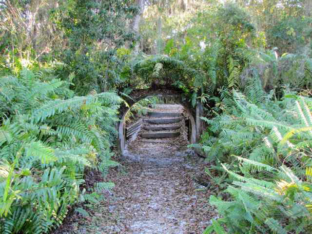 Historic Spanish Point, Osprey