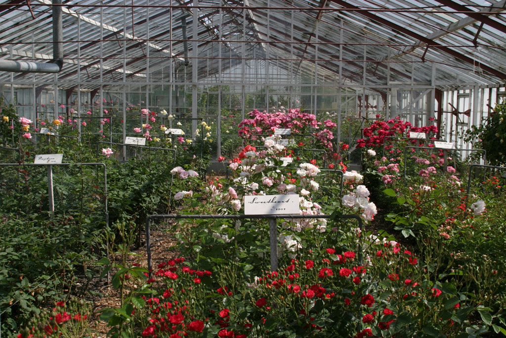 Historische Tuin Aalsmeer, Holland