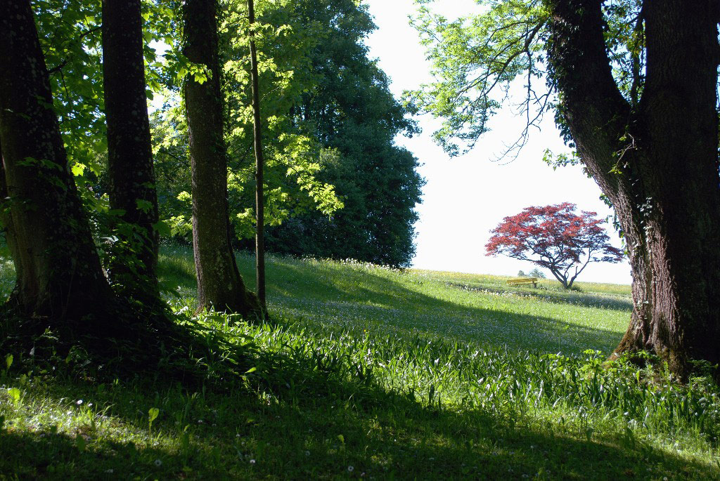 Hoehenried Schlosspark
