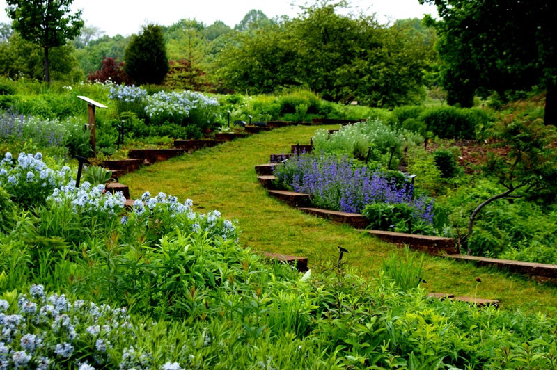 Holden Arboretum