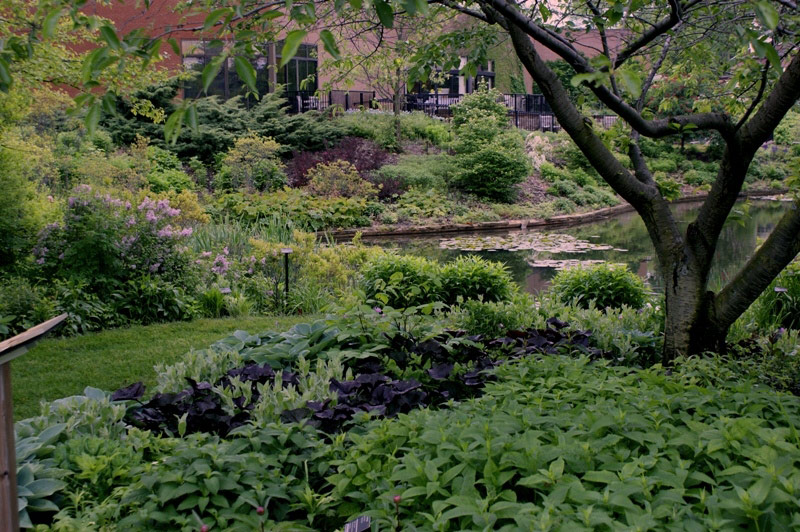 Holden Arboretum Garden