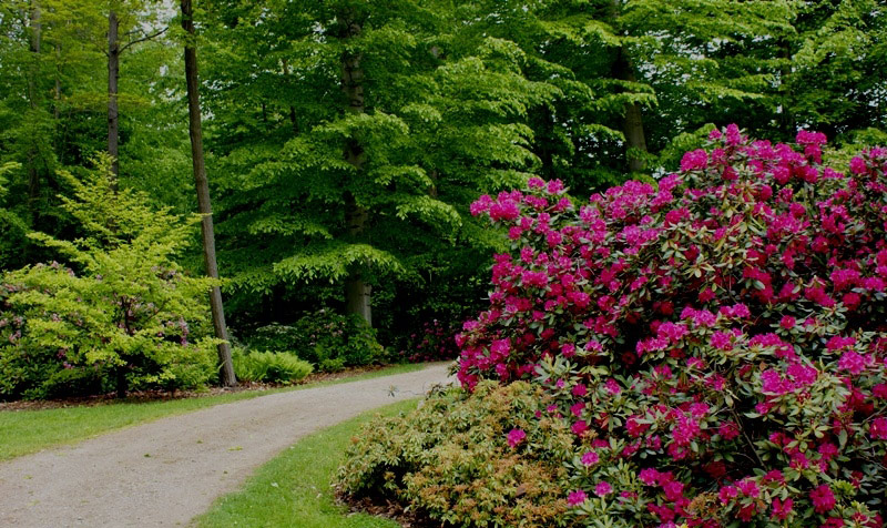 Holden Arboretum Garden, Ohio