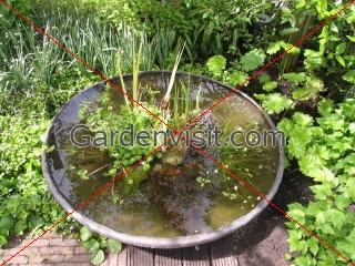 Botanische Vijvertuin van Ada Hofman